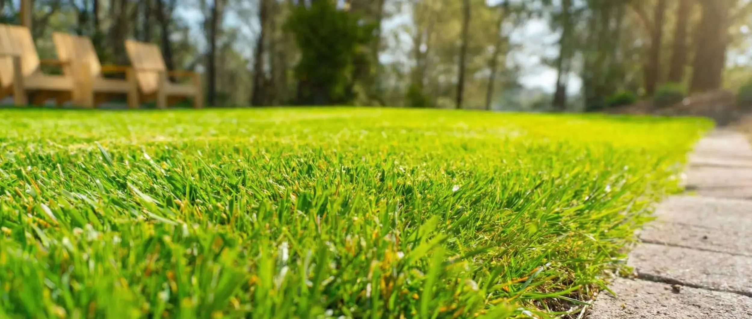 Premium Lawn Care & Landscaping